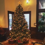 Christmas Tree at Stoneridge Townhomes